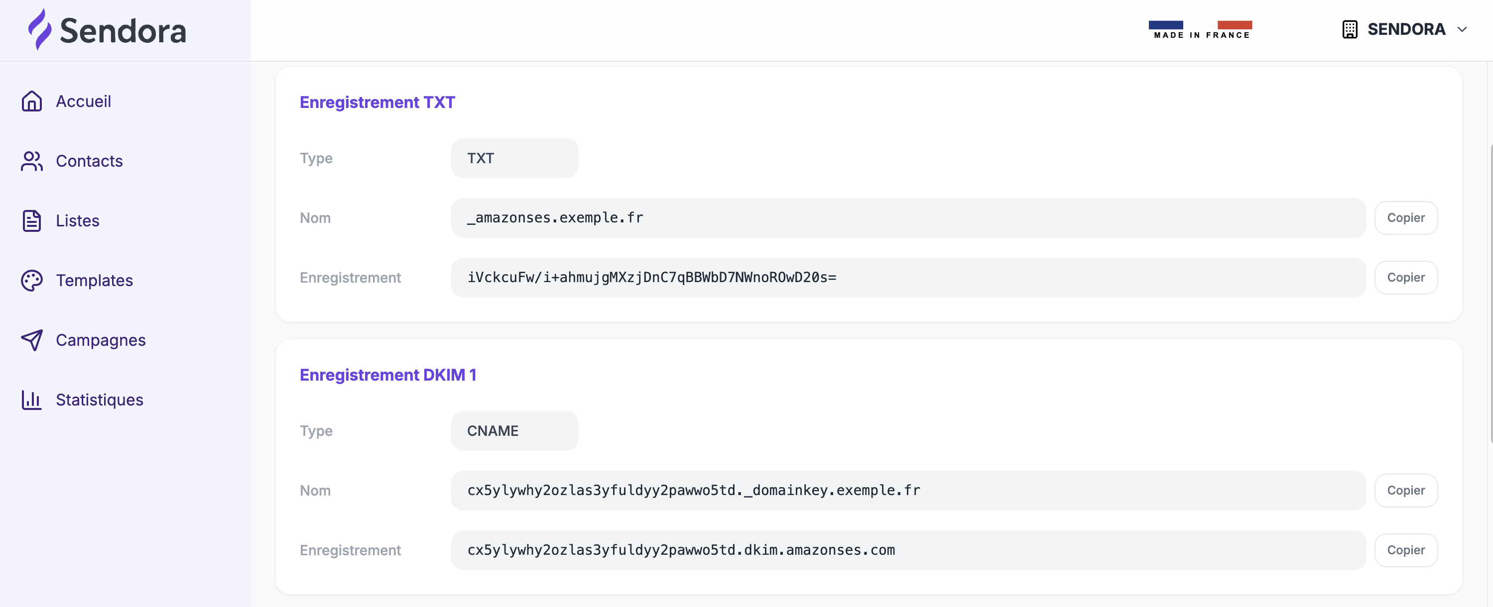 The DNS records to copy in Sendora